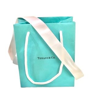 NWOT The Iconic Tiffany’s Small Shopping Bag!